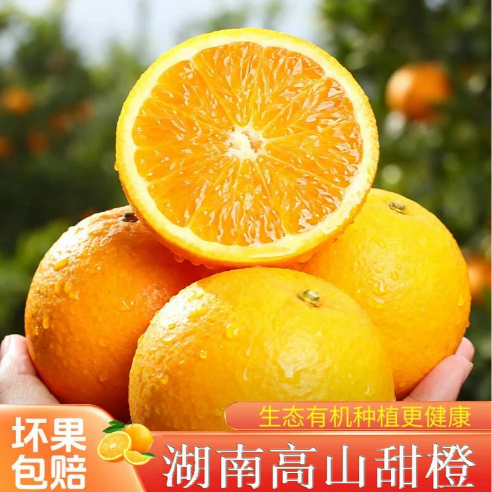 湖南高山甜橙纽荷尔