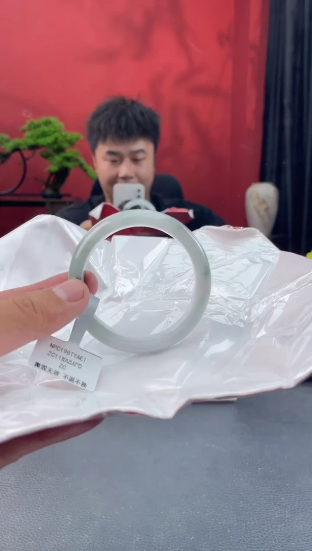 未镶嵌手镯翡翠4