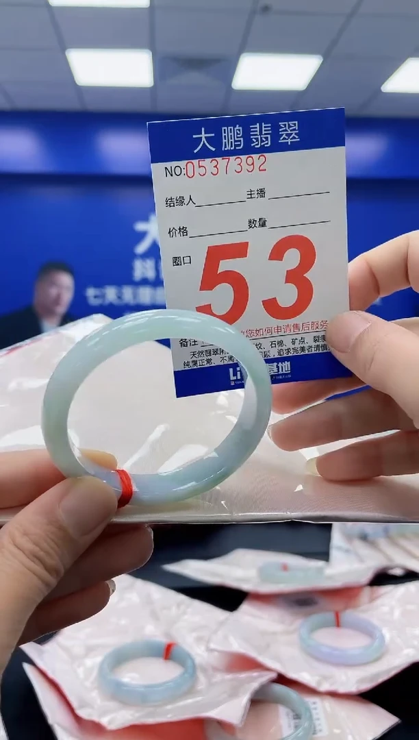 未镶嵌手镯翡翠 AAAAAAAAAA