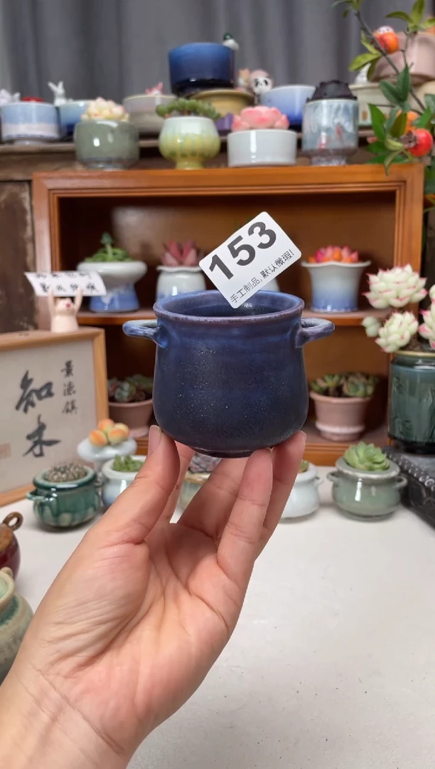 瓷片二**猪153微瑕知木小芳花盆编号