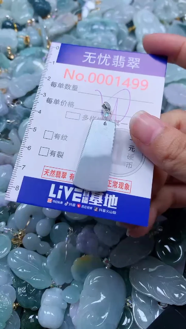 颈饰未镶嵌翡翠1499