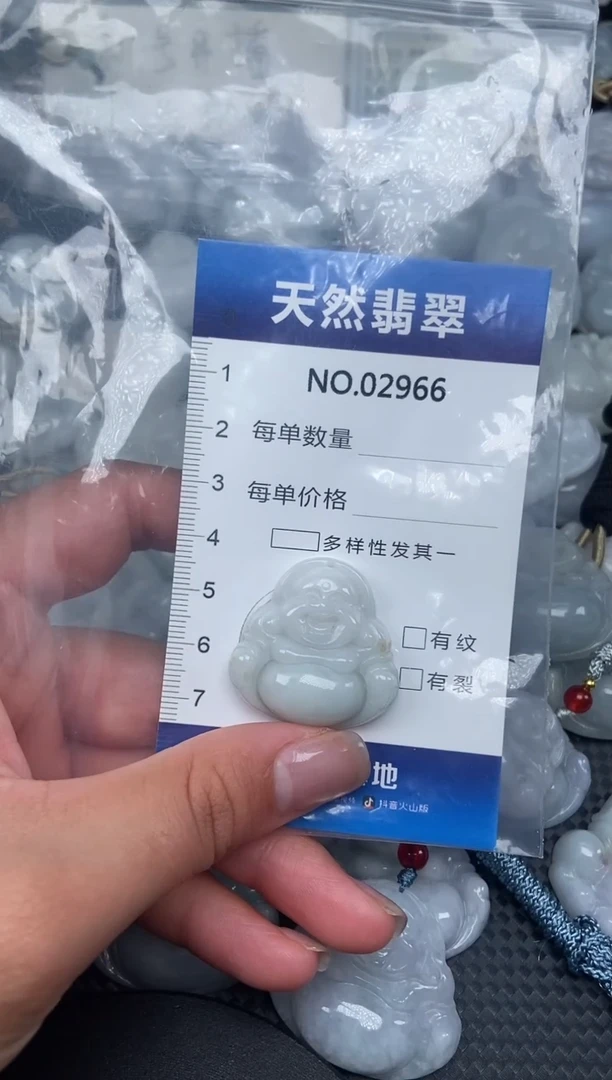 颈饰未镶嵌翡翠纯天然A货翡翠2966