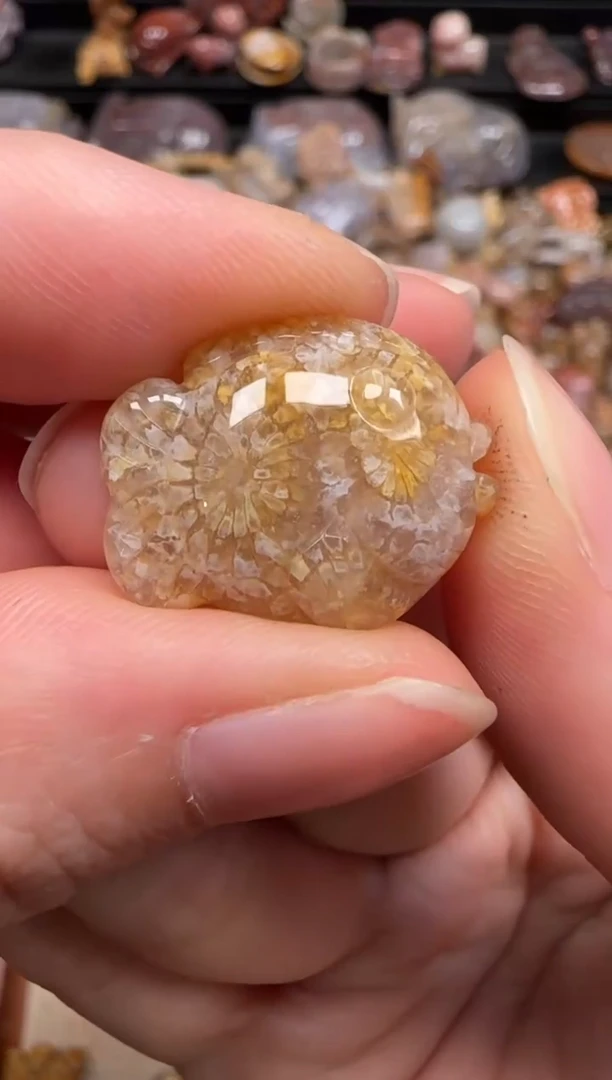 硅化珊瑚（珊瑚玉）未镶嵌颈饰170