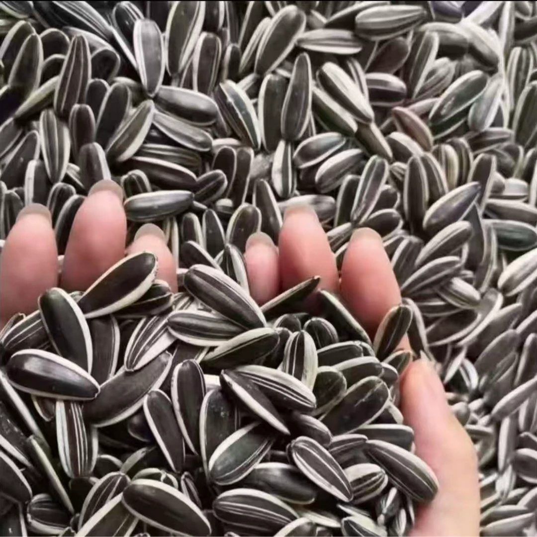 【买一斤送一斤】原味大颗粒熟瓜子追剧必备休闲零食fF