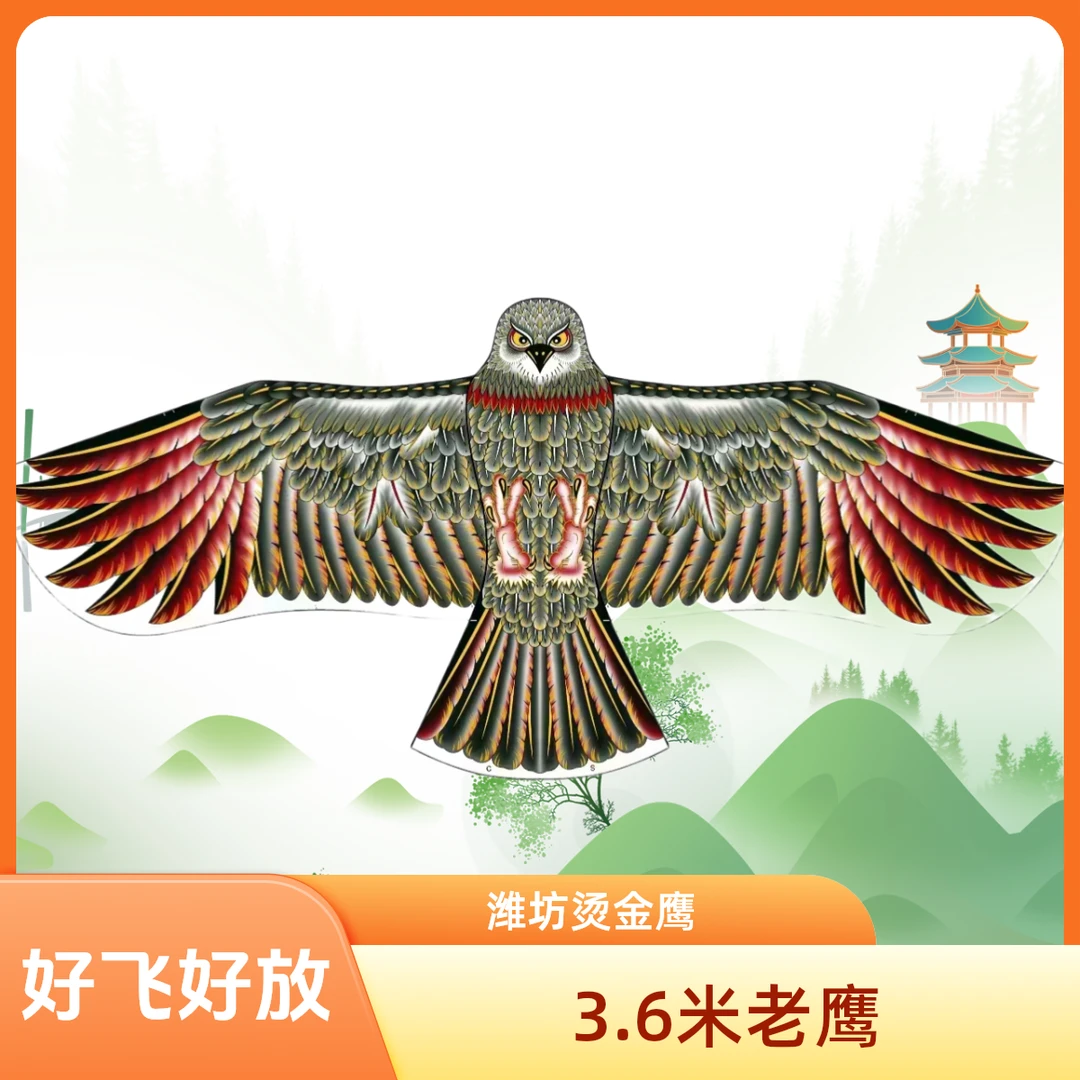 潍坊3.6米老鹰成人好飞好放