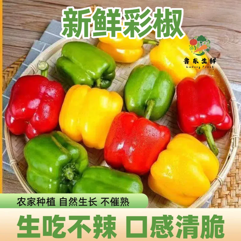 【产地甄选】新鲜五彩椒水果甜椒圆椒太空椒柿子椒灯笼椒生吃不辣