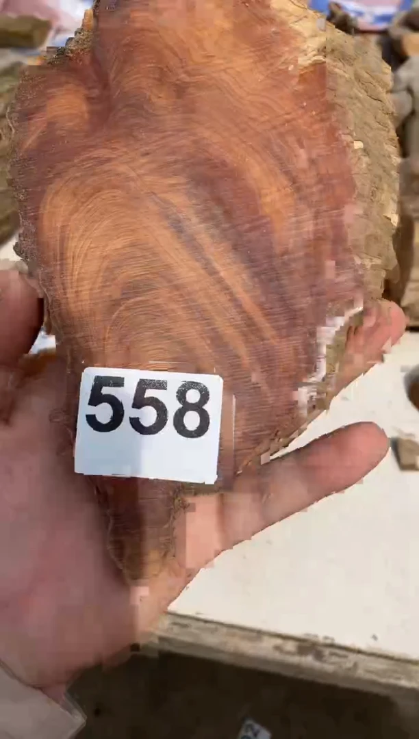 柏木（崖柏）太行陈化崖柏切片一块（津诚林）558