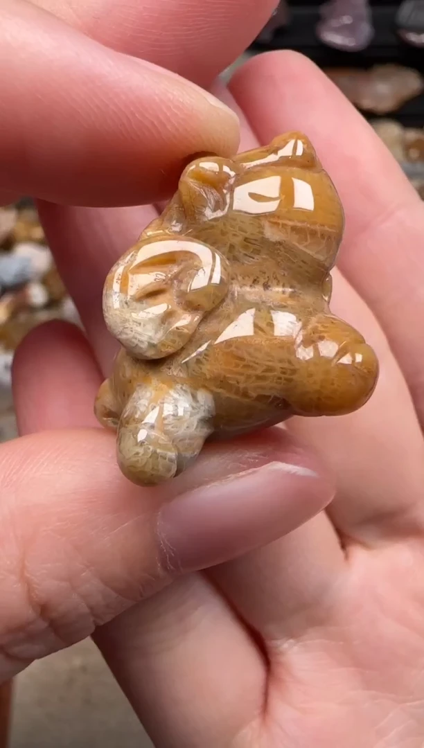 硅化珊瑚（珊瑚玉）未镶嵌颈饰207
