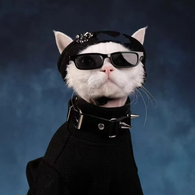 【47号】【全新未使用-拆盒】百搭男女同款休闲连帽卫衣男-TX21010