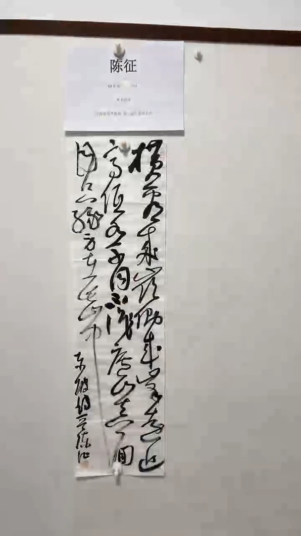 书法书法陈征老师