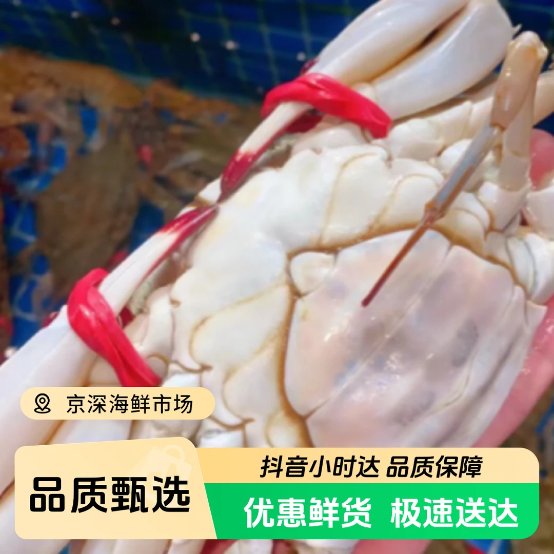 吃肉母蟹巨无霸梭子蟹吃肉带点黄母蟹1斤两只单只5到7两  保活到家 北京同城梭子蟹【保鲜不保活】