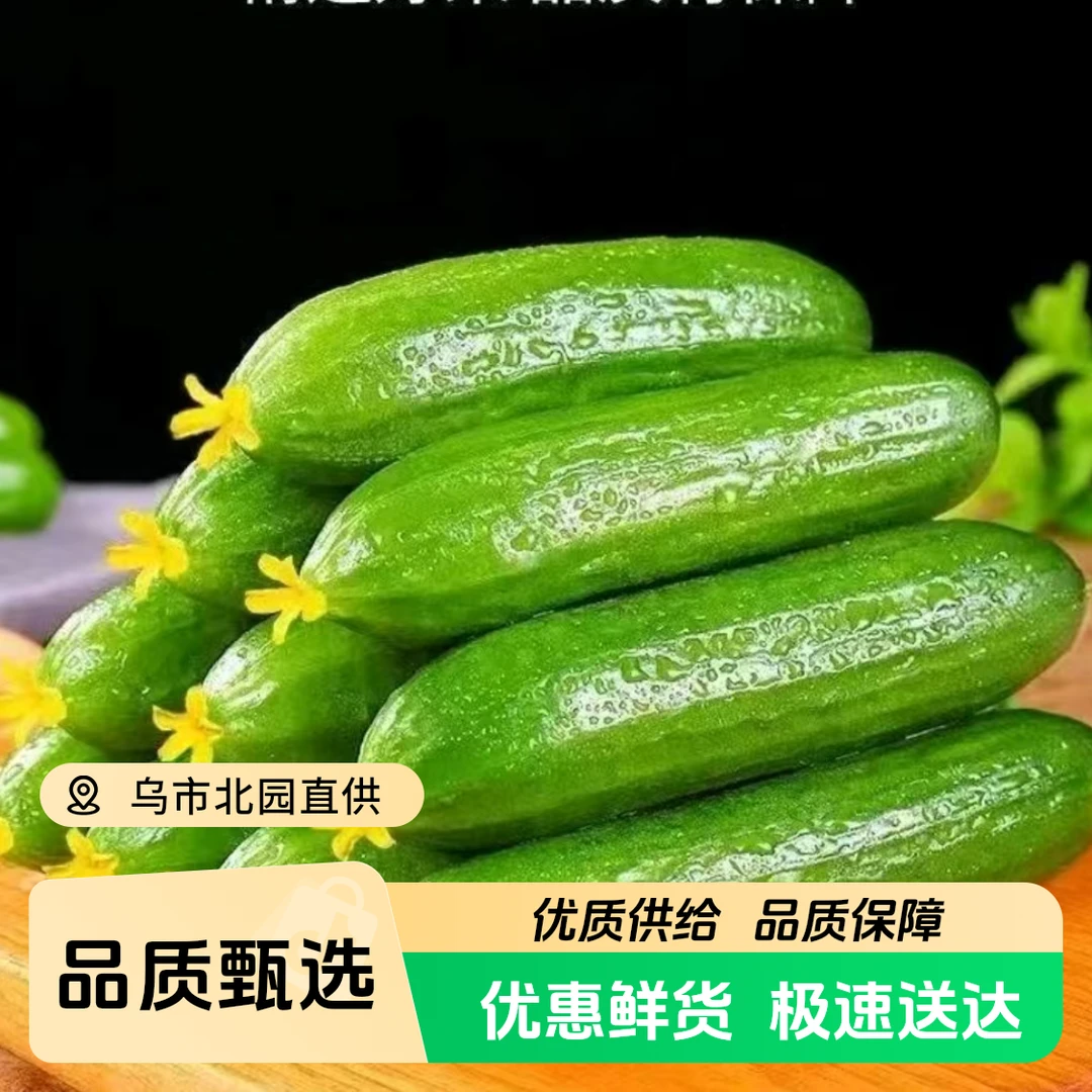 【小黄瓜】吐鲁番新鲜水果小黄瓜脆嫩爽口可生吃水果黄瓜1.5公斤/4.3公斤一件黄瓜同城送黄瓜同城配
