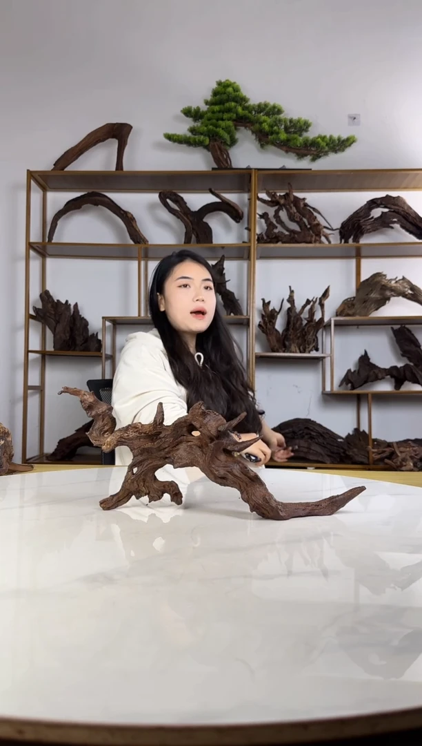 ꧔****࿐拍沉木定向链接编号15