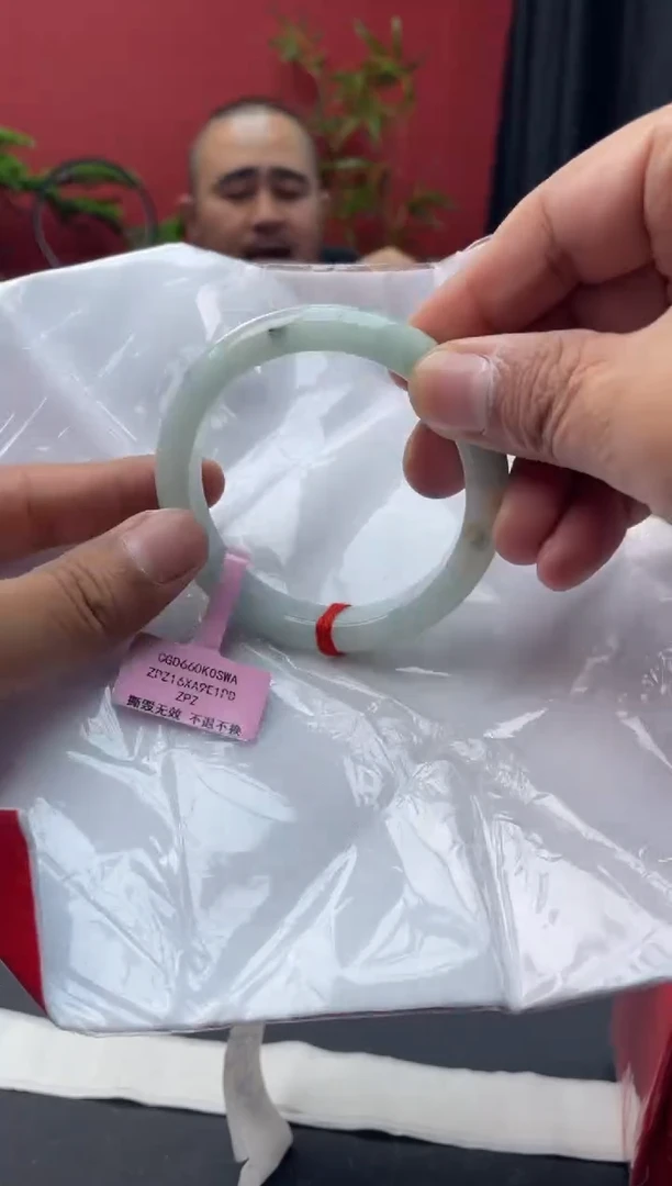 未镶嵌手镯翡翠12