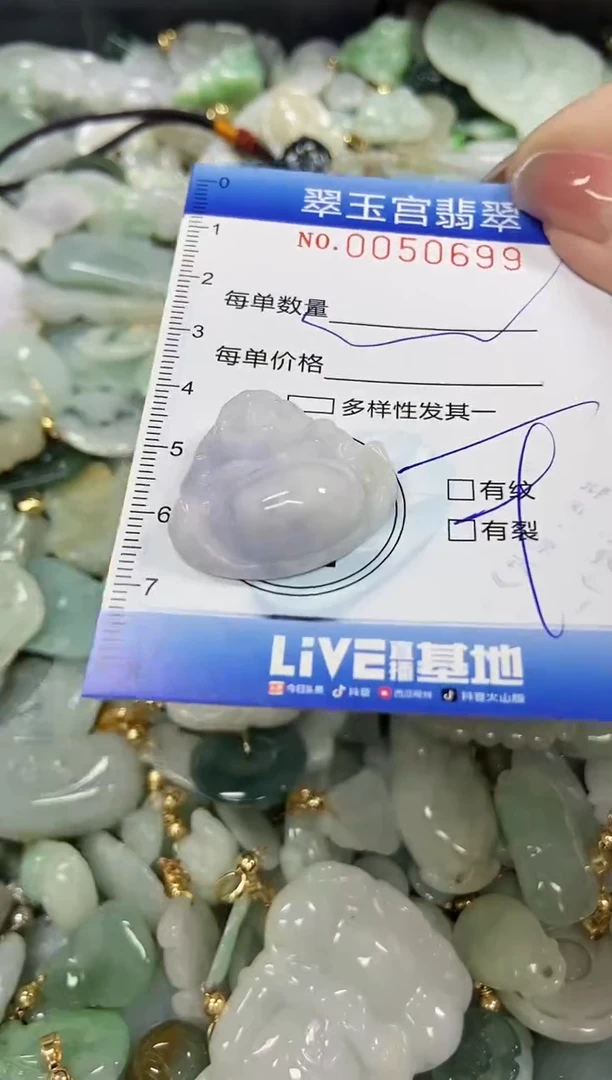 【闪购商品】翡翠颈饰未镶嵌闪购0050699