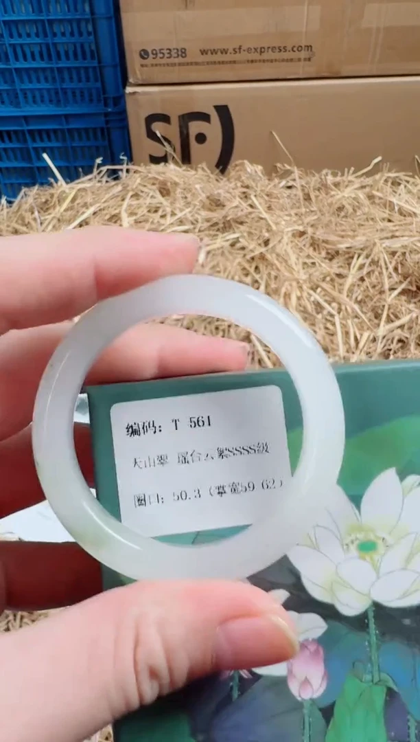 未镶嵌手镯石英质玉T-561
