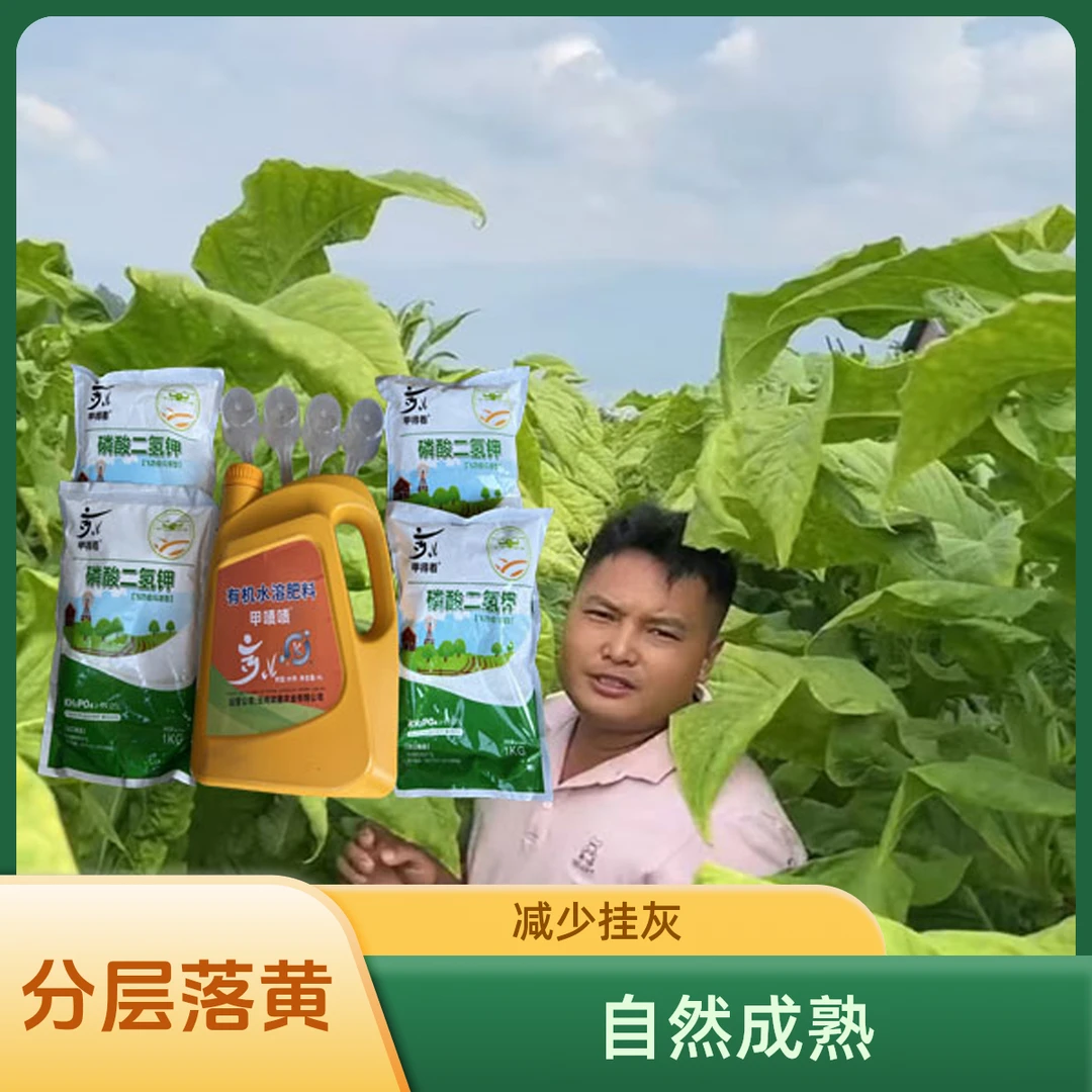 甲啧啧有机水溶肥4升套餐提质增产帮助落黄减少挂灰