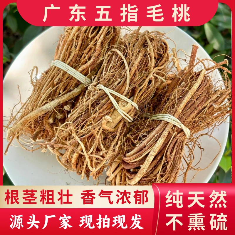 【五指毛桃根】煲汤干货材料新货五指毛桃脾胃牛奶根椰香浓郁