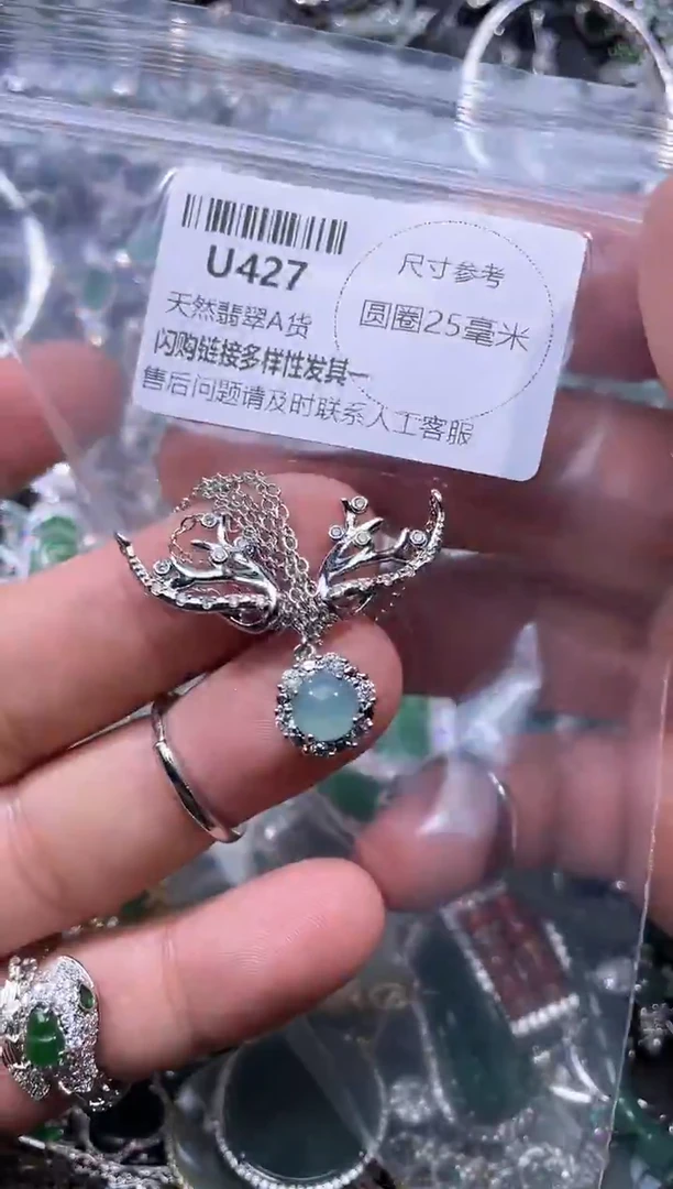 【闪购商品】翡翠颈饰未镶嵌U427项链