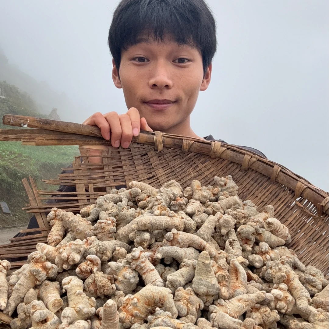 高山三七干货 养生滋补mz