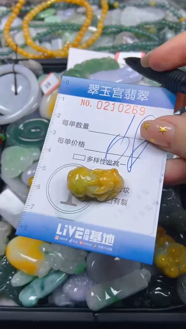 颈饰未镶嵌翡翠闪购C0210269