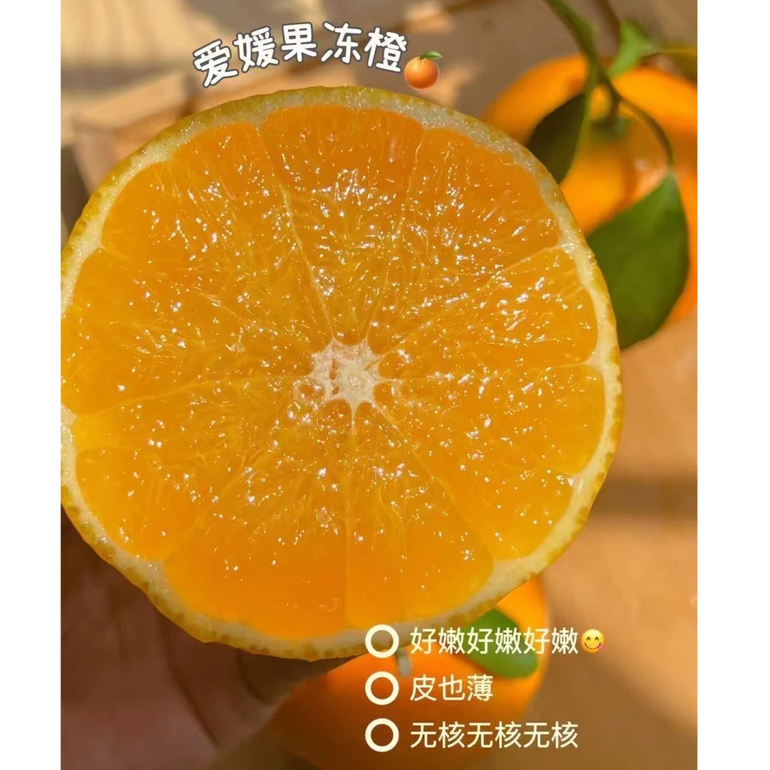 爱媛果冻橙(爆汁)四川省