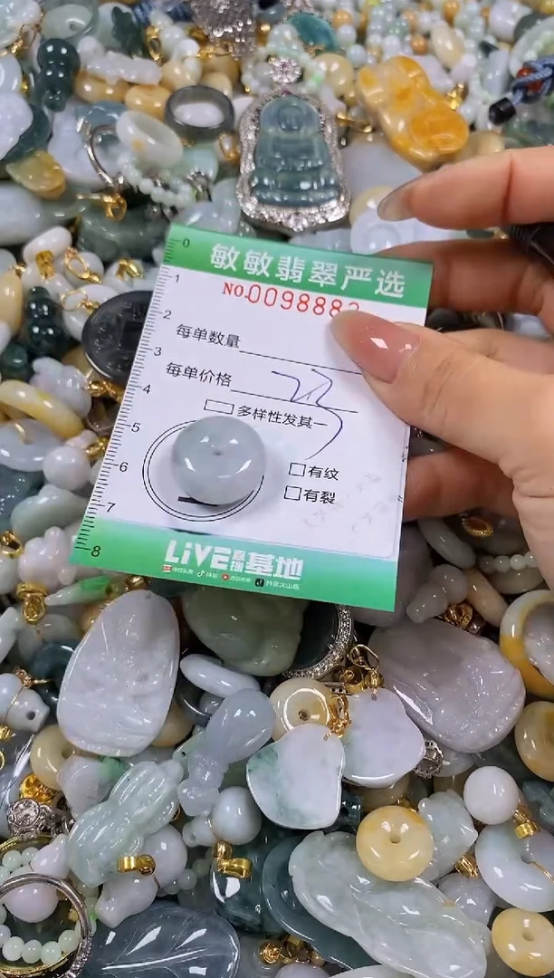 【闪购商品】翡翠颈饰未镶嵌闪购0098883