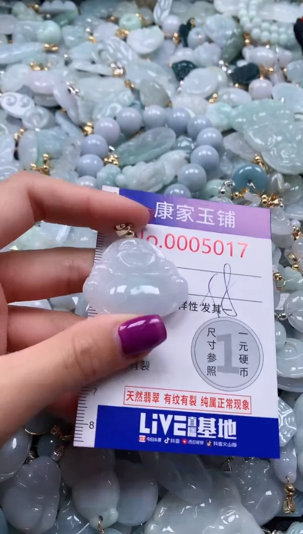 颈饰未镶嵌翡翠5017