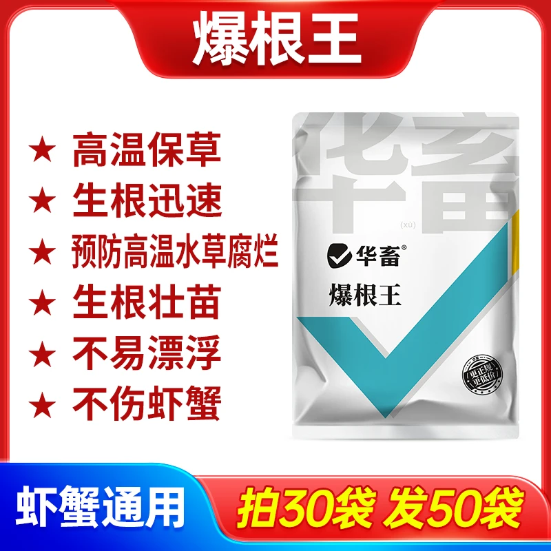 水产爆根王肥水草生根壮茎改善水体改良底质防抑青苔防挂脏饲料S
