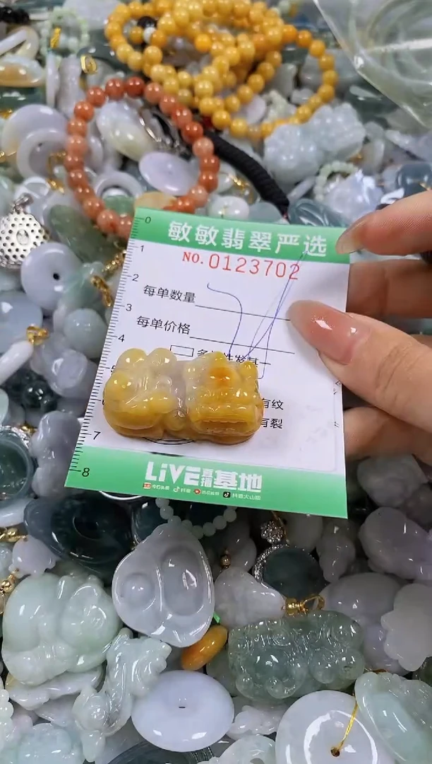 【闪购商品】翡翠颈饰未镶嵌闪购0123702