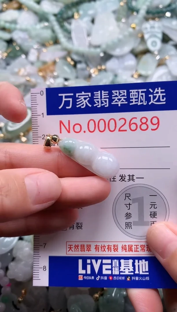 翡翠未镶嵌吊坠(不含链)2689