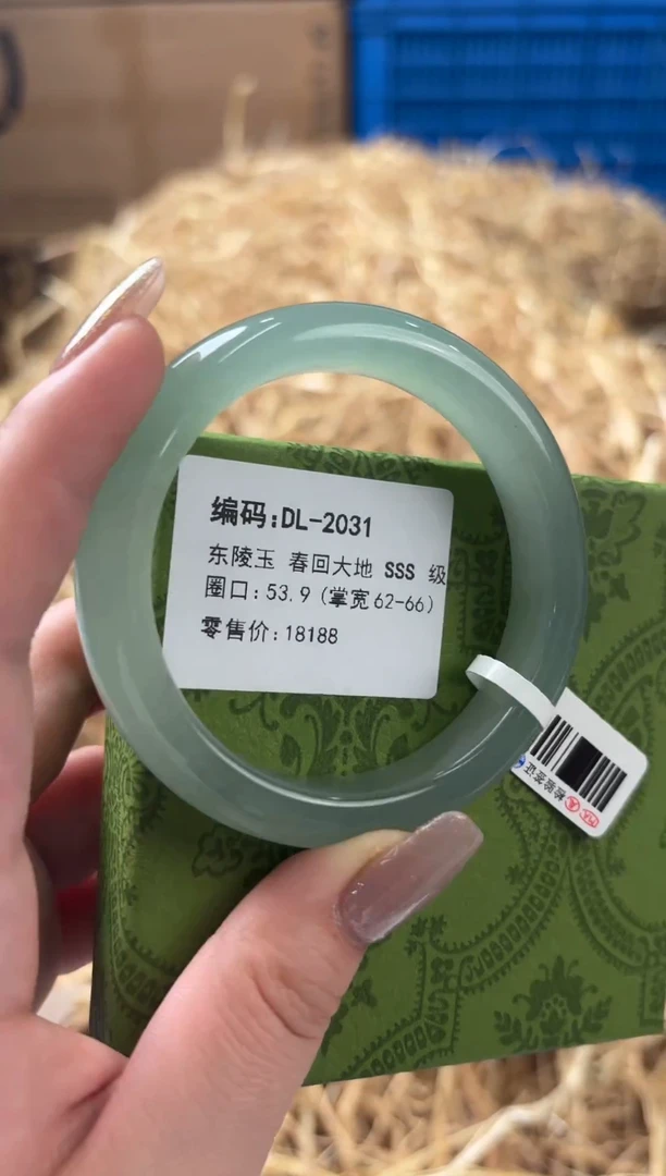 未镶嵌手镯石英质玉DL-2031