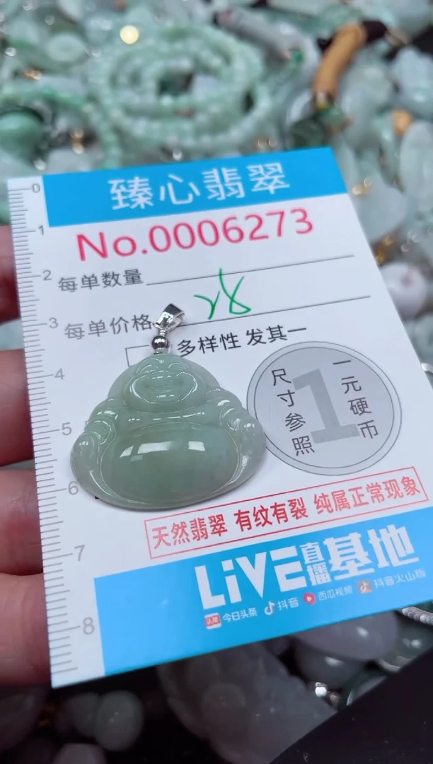 颈饰未镶嵌翡翠6273