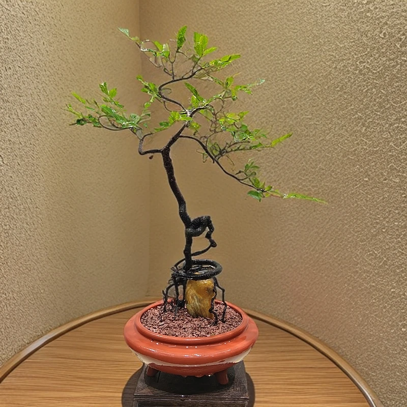 惠景园精品根艺黑骨茶盆景