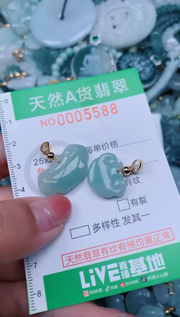 【闪购商品】翡翠未镶嵌颈饰.0005588