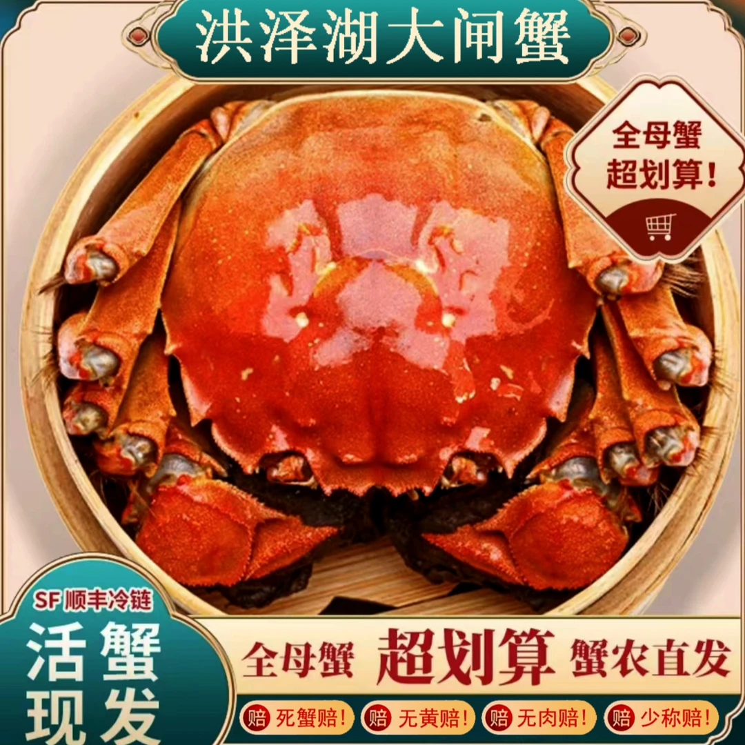 （活蟹现发）精品洪泽湖大闸蟹2两全母蟹10只顺丰包邮中秋送礼