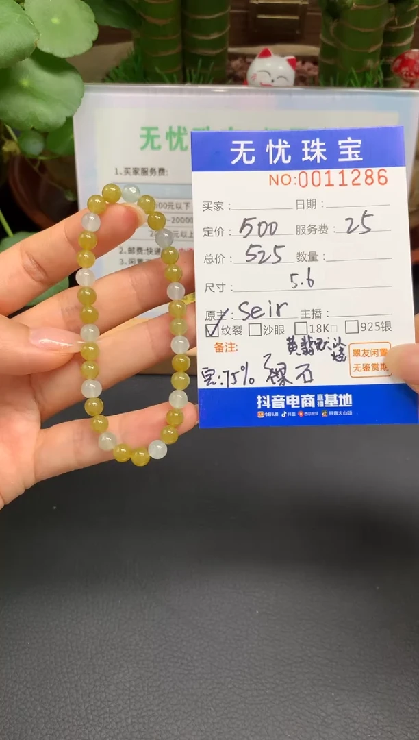 未镶嵌定制翡翠无****?A106