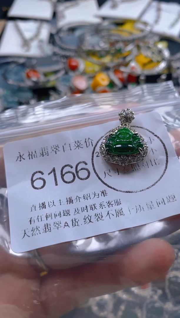 翡翠未镶嵌吊坠(不含链)6166