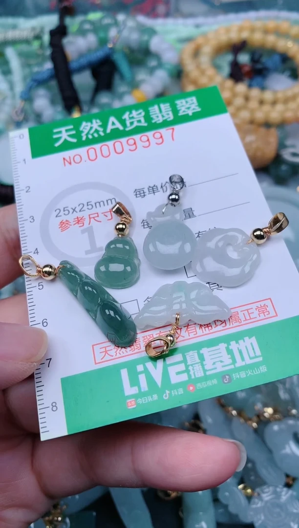 翡翠未镶嵌颈饰.0009997