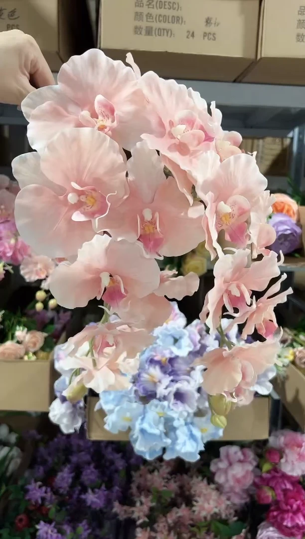 2枝粉色9头蝴蝶兰