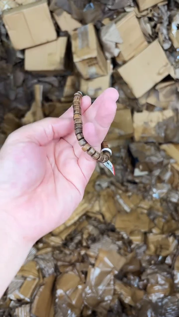 精品手串无礼盒L004