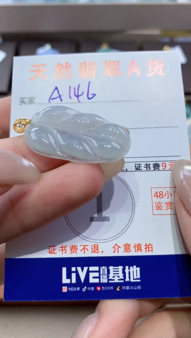 颈饰未镶嵌翡翠天然翡翠A货挂件