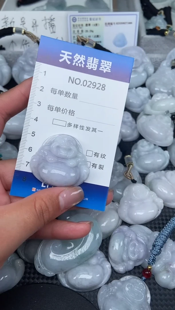 颈饰未镶嵌翡翠纯天然A货翡翠2928