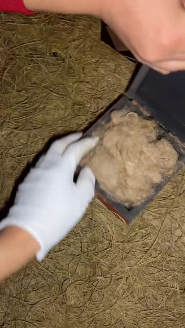 香榧木一一一一一一一一福利