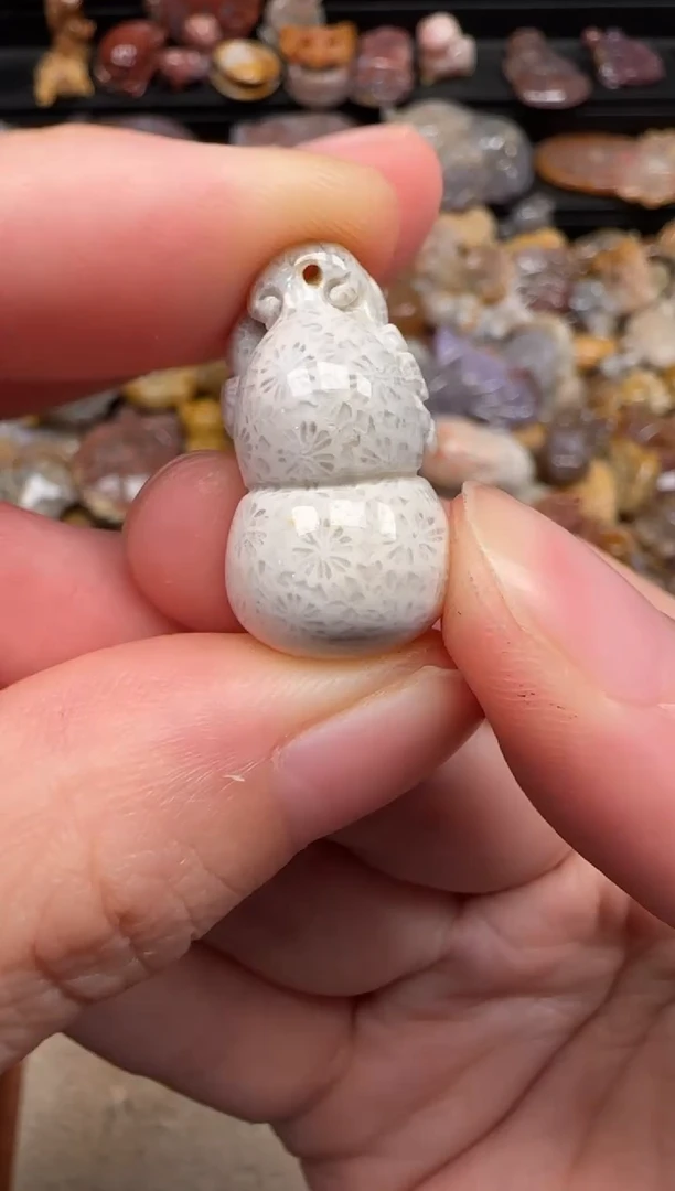 硅化珊瑚（珊瑚玉）未镶嵌颈饰679