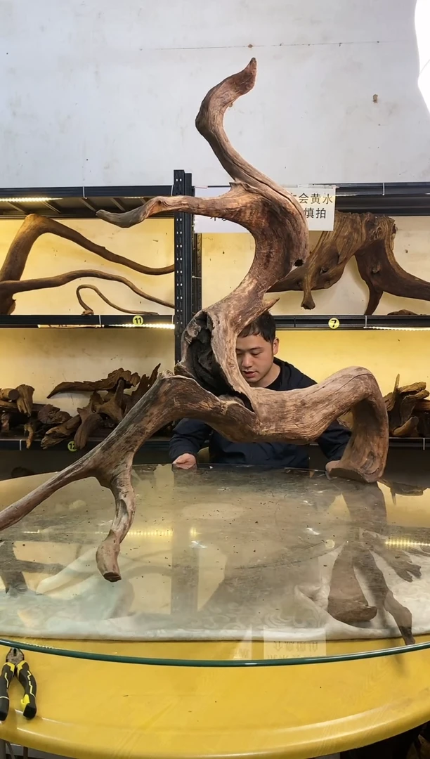 【闪购商品】柚木木艺鱼缸造景素材291