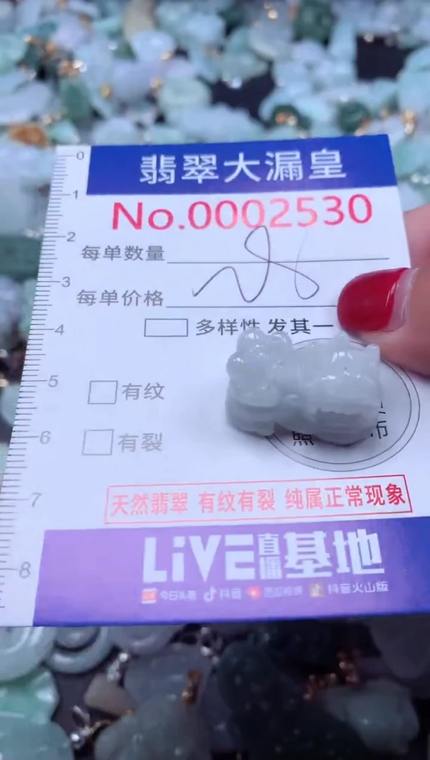颈饰未镶嵌翡翠2530