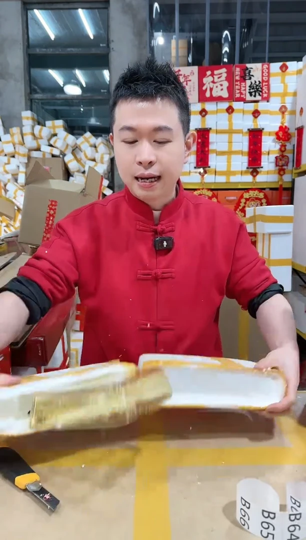 【闪购商品】NS-B66