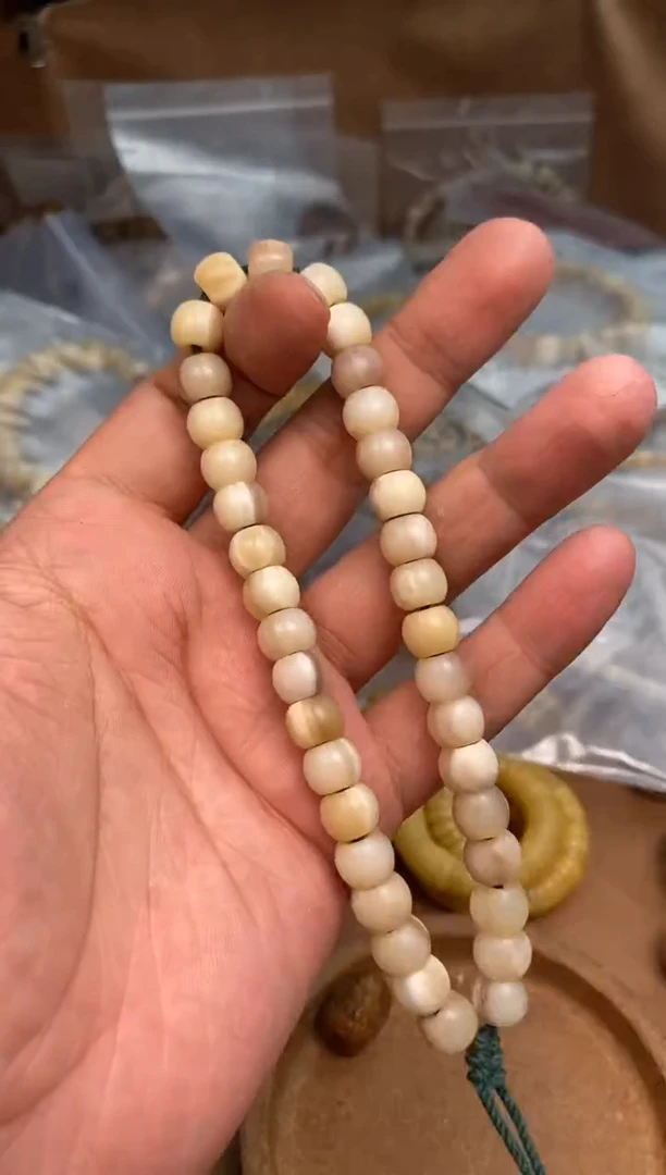 其他驼骨驼骨定向V185