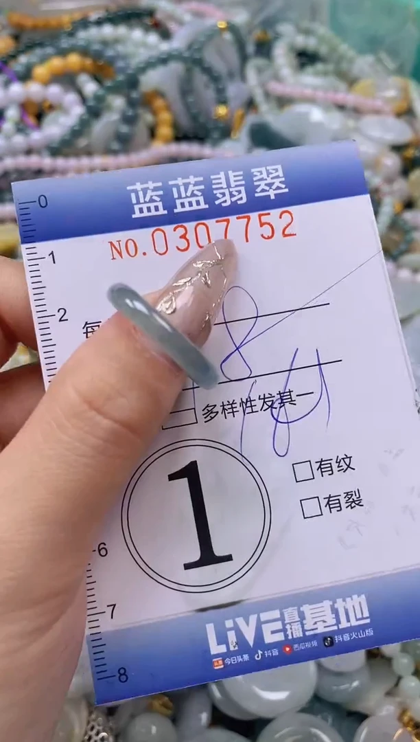 翡翠未镶嵌颈饰闪购0307752